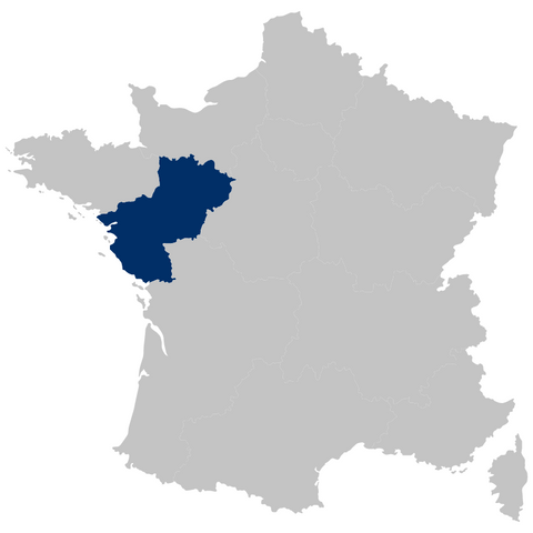 Titre de la collection