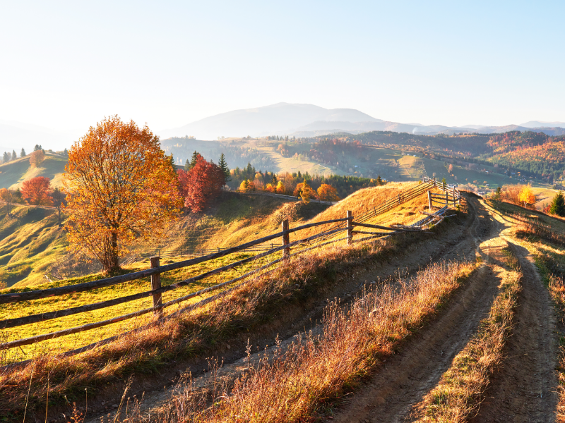 Comment chaque région inspire nos collections