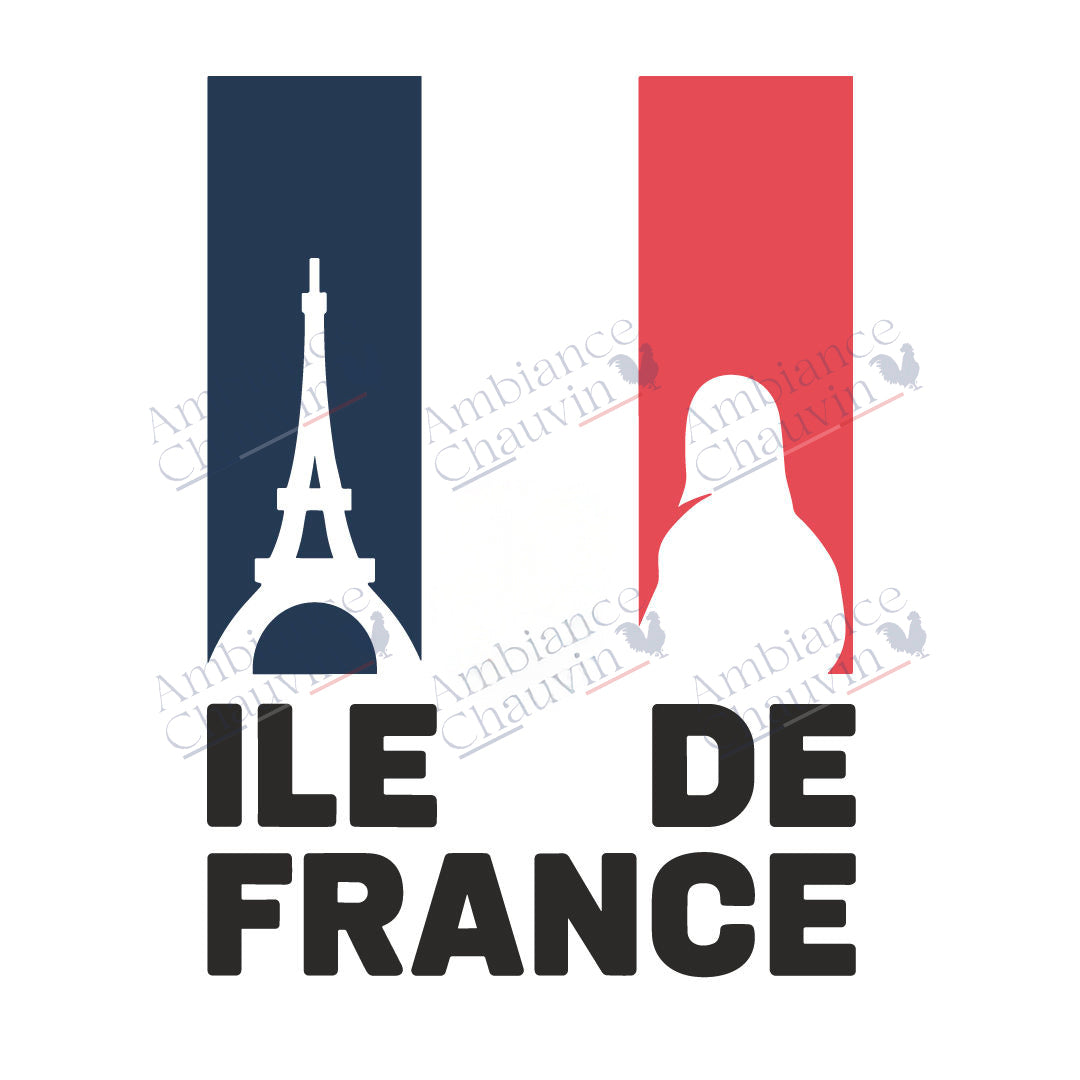 Tee-shirt Ile-de-France