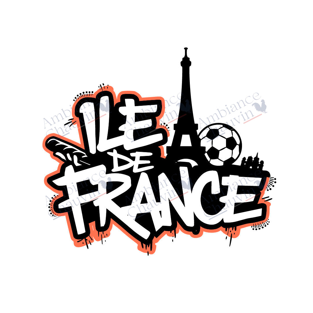 Tee-shirt Ile-de-France
